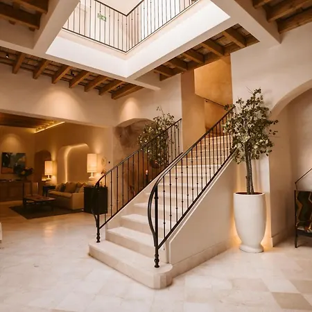 Casa Aura Hotel-2